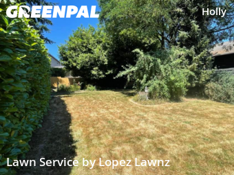 Lawn Care nearby Everett, WA, 