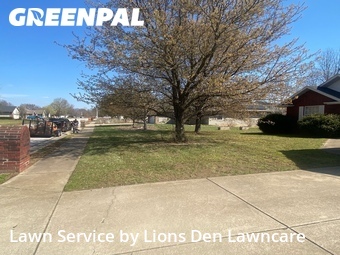 Lawn mowed in Ozark, 65721