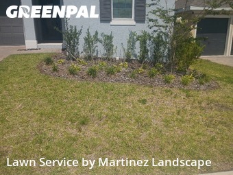 Lawn Service nearby Minneola, FL, 