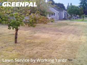 Yard Mowing nearby Puyallup, WA, 
