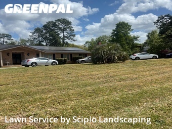 Grass Cut nearby Columbia, SC, 