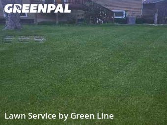 Lawn Cut nearby Wheaton, IL, 