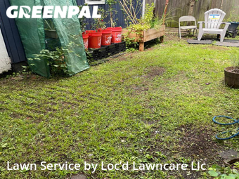 Yard Cutting nearby New Orleans, LA, 