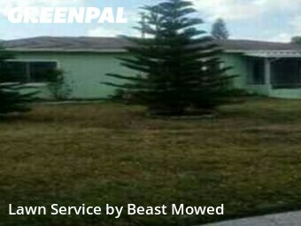 Lawn Mowing Service nearby St. Petersburg, FL, 