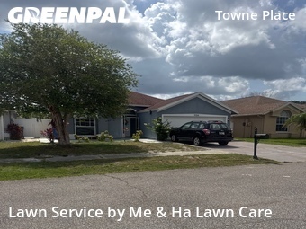 Grass Cut nearby Tampa, FL, 