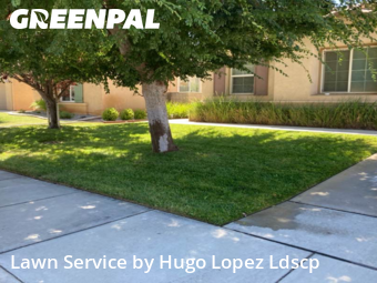 affordable-lawn-services-in-Carlsbad-CA
