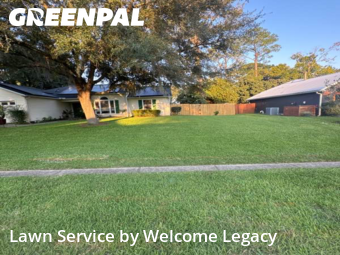 Lawn Maintenance in Alachua, 32615, Yard Mowing by Welcome Legacy , work completed in Nov , 2025