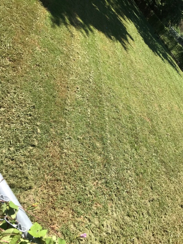 Gregg Landscaping Lawn Care Services in Killeen, TX