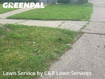 Lawn Mow nearby Harper Woods, MI, 