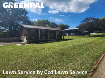 Lawn Cutting nearby Knoxville, NC, 
