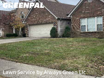 Yard Cutting nearby Lexington, KY, 