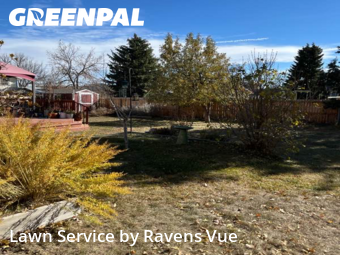 Lawn Cut nearby Longmont, CO, 