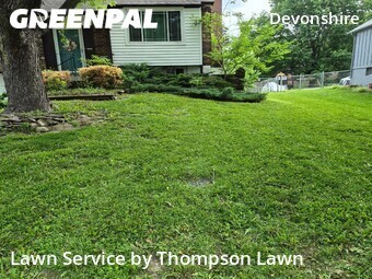 Lawn Maintenancein Olathe,66062,Yard Cutting by Thompson Lawn, work completed in Jun , 2026
