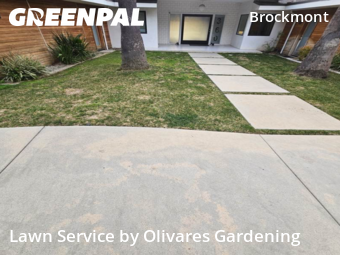 Landscapers In Glendale,91202,Landscaping Services by Olivares Gardening , work completed in Feb , 2026