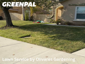 Work completed by grass-cutting-businesses-in-Santa Clarita-CA