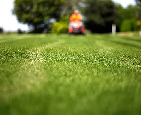 Best Lawnmower Shop Photo 7