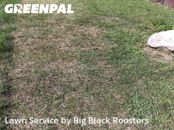 Lawn Mowing nearby Middletown, OH, 