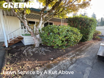 Lawn Cutting nearby Auburn, WA, 