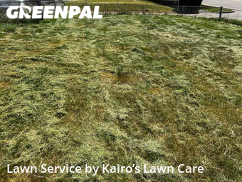 Yard Cutting nearby Baltimore, MD, 