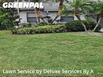 Lawn mowed in Tamarac, 33321