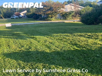 Lawn Cut nearby New Albany, IN, 