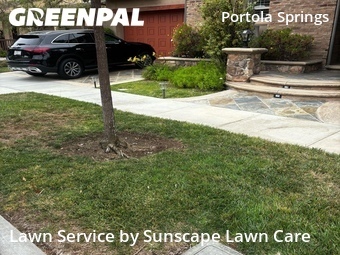 Affordable Landscaping Maintenance Services In Irvine,92618,Landscaping Cleanup by Sunscape Lawn Care, work completed in Jun , 2026