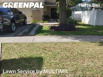 Grass Cut nearby Land O' Lakes, FL, 