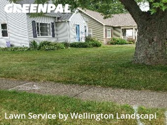 Grass Cut nearby Erie, PA, 