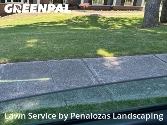 Lawn Care Service nearby Cumming, GA, 