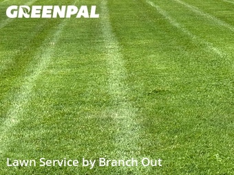 Yard Mowing nearby Buffalo, NY, 