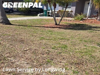 Lawn Maintenance nearby Clearwater, FL, 
