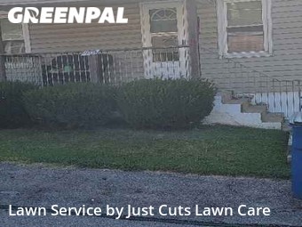 Yard Cutting nearby St. Louis, IL, 