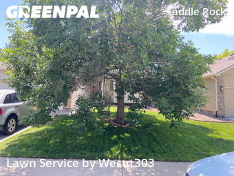 Lawn Cutting nearby Aurora, CO, 