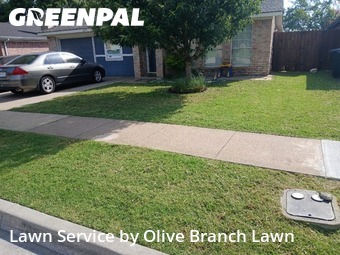 Grass Cutin Keller,76248,Yard Mowing by Olive Branch Lawn, work completed in Jun , 2026