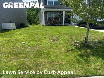 Lawn mowing work completed in Concord, CA