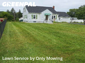 Lawn Maintenance nearby Schenectady, NY, 