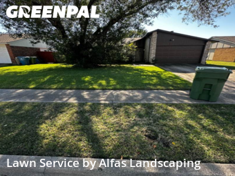 Grass Cuttingin The Colony,75056,Lawn Cut by Alfas Landscaping, work completed in Jan , 2026
