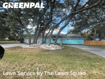 Lawn Mowing nearby Spring Hill, FL, 