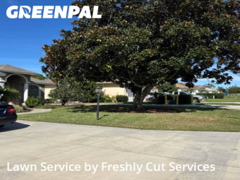 Grass Cutin Lakeland,33810,Grass Cut by Freshly Cut Services, work completed in Dec , 2025
