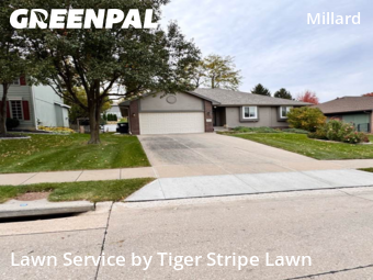 Grass Cut nearby Omaha, NE, 