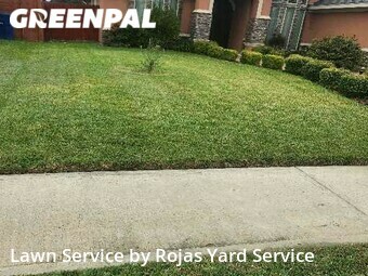 Grass Cut nearby Mc Allen, TX, 