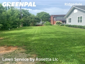 Grass Cutting nearby Chattanooga, TN, 