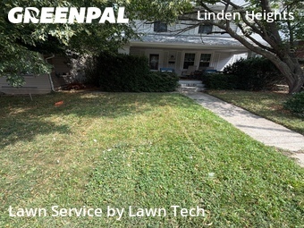 Lawn Service nearby Dayton, OH, 