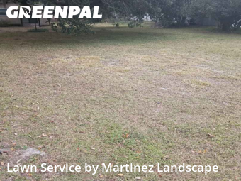 Garden Trimming in Lady Lake, 32159, Weed Trimming by Martinez Landscape, work completed in Dec , 2025