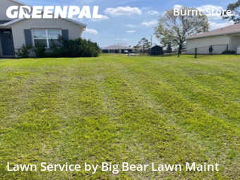 Yard Cutting nearby Cape Coral, FL, 
