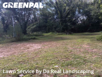 Lawn Cut nearby Land O'lakes, FL, 