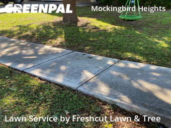 Grass Cut nearby New Braunfels, TX, 