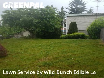 Yard Mowing nearby Tacoma, WA, 