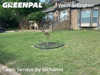 Lawn Cut nearby Arlington, TX, 