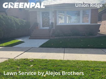 Lawn Care Servicein Chicago,60656,Yard Mowing by Alejos Brothers, work completed in Dec , 2025